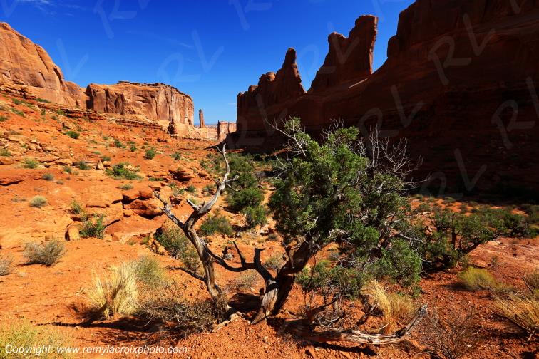 Park Avenue Arches National Park Utah USA