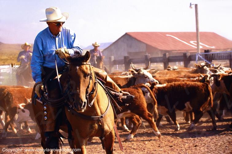 Big Bend Rio Grande cow-boys Texas Rancher's USA www.remylacroixphoto.com