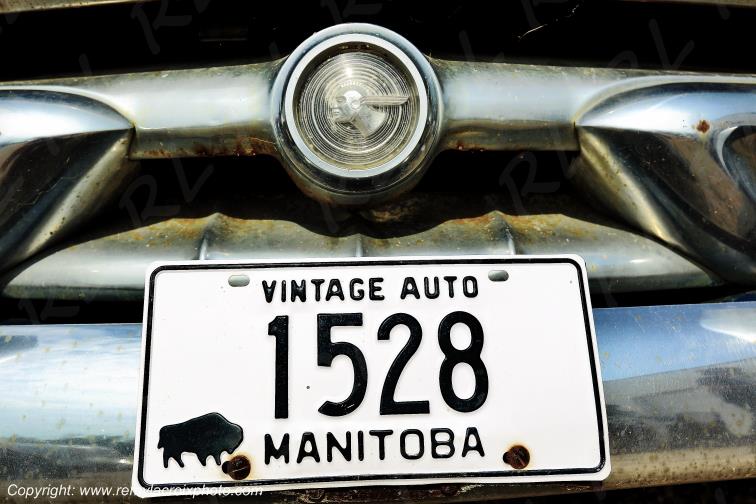 License Plate  Vintage Car Manitoba Canada www.remylacroixphoto.com