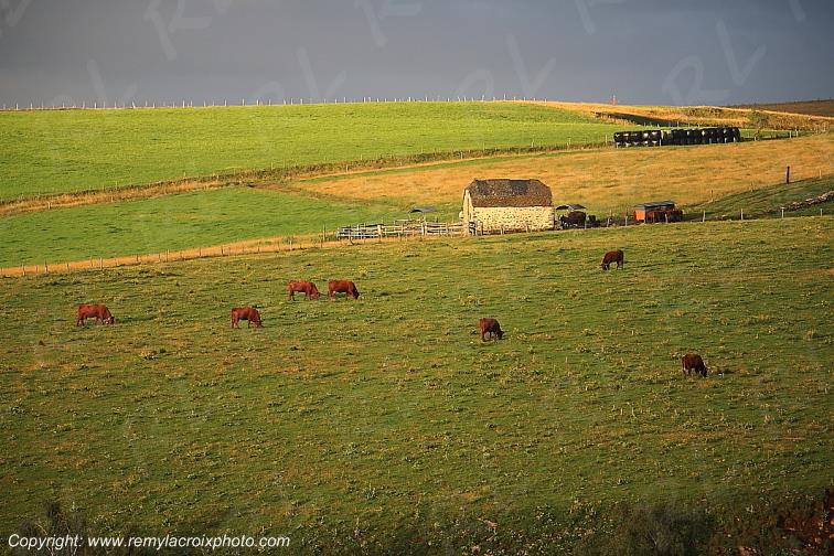 C�zallier La Terrisse Cantal Auvergne Rh�ne-Alpes France