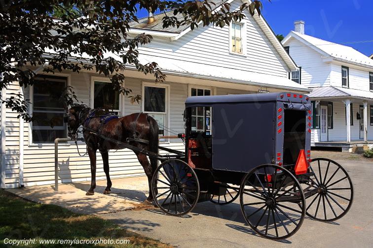 Intercourse Lancaster Dutch County Amish Buggy Pennsylvania Pennsylvanie USA ww.remylacroixphoto.com