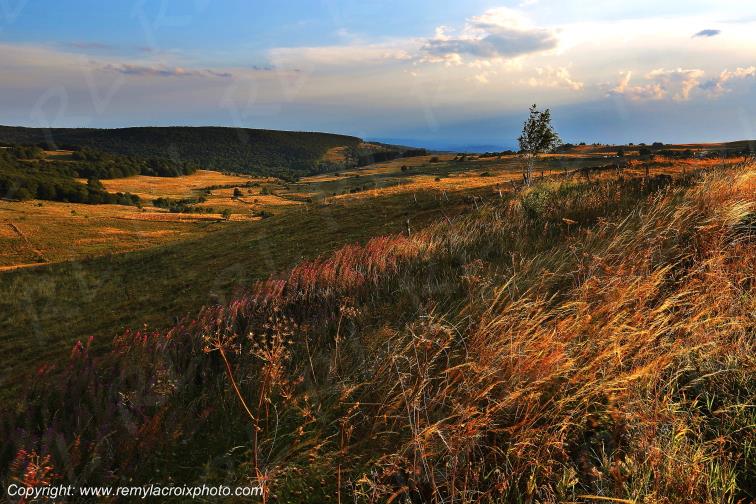Aubrac Aveyron Occitanie France www.remylacroixphoto.com