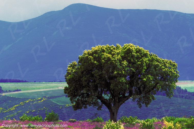 Las Hurdes Estremadure Espagne Spain Espana