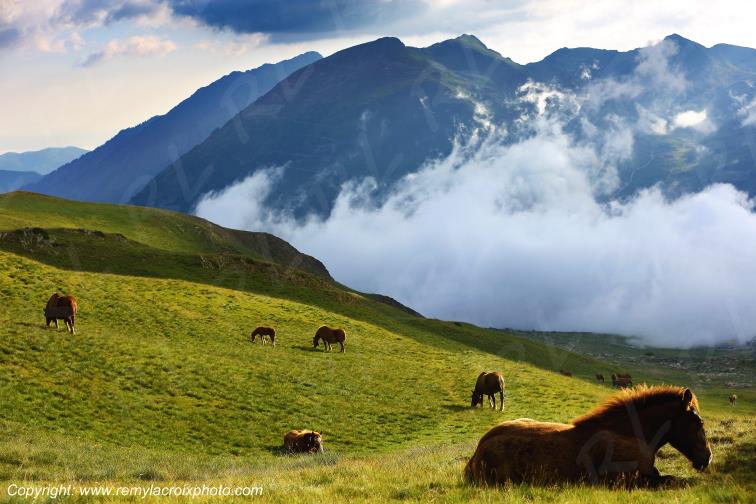 Col de Puymorens Pyr�n�es Orientales Occitanie Languedoc Roussillon France www.remylacroixphoto.com