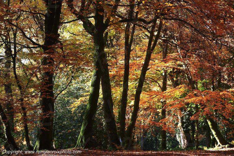 Bibracte site arch�ologique Gaulois Sa�ne et Loire Ni�vre Bourgogne Franche Comt� France www.remylacroixphoto.com