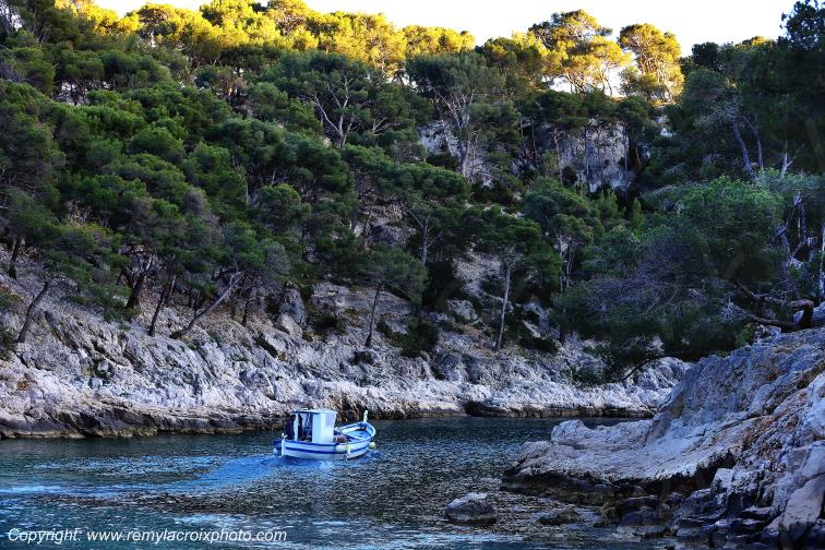 Calanque de Port-Pin Cap Canaille Cassis Bouches du Rh�ne Provence Alpes C�te d'Azur France www.remylacroixphoto.com