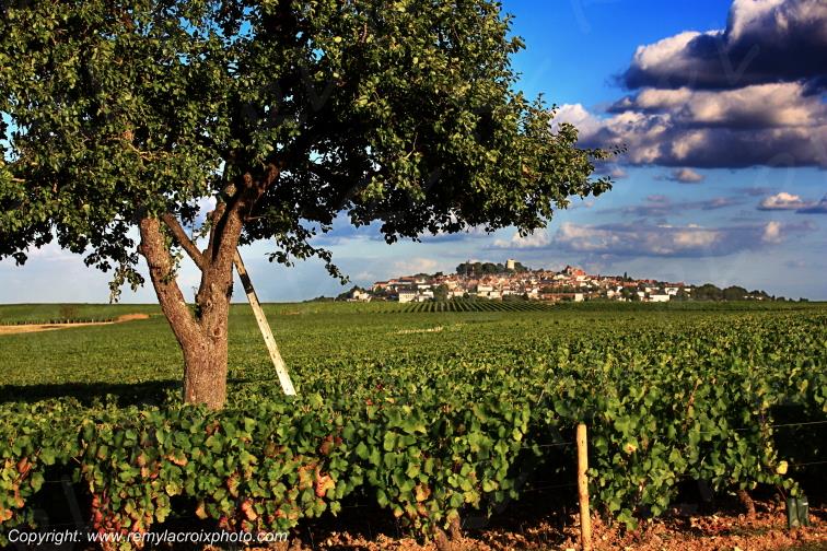 Sancerre le Piton Sancerrois Cher Berry Centre Val de Loire France
