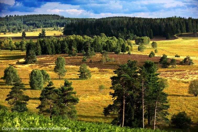 Tourbi�re du Long�roux plateau de Millevaches Corr�ze Limousin France