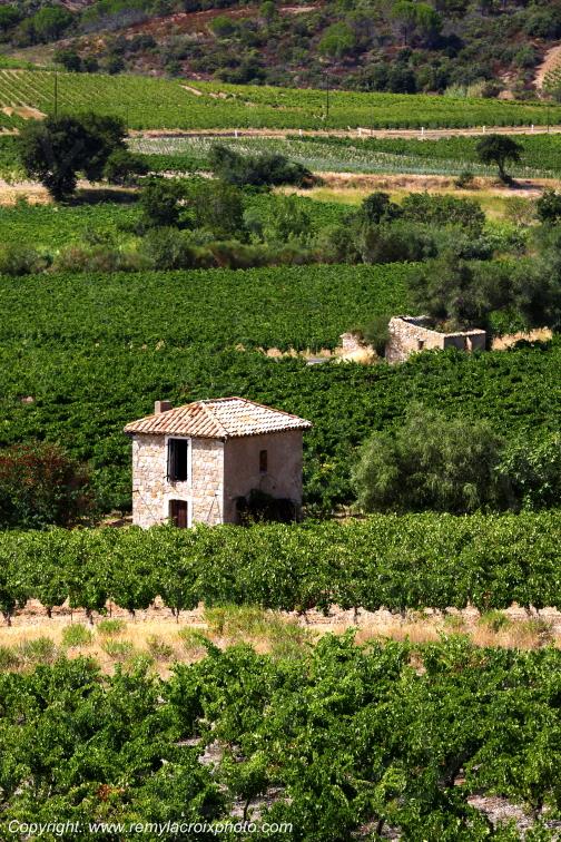 Vignoble du Haut-Fitou Corbi�res Aude France