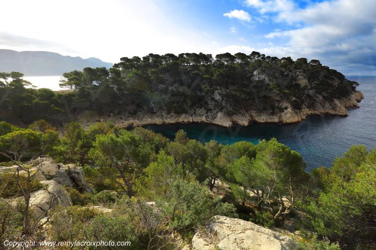 Calanque de Port-Pin Bouches du Rh�ne Provence Alpes C�te d'Azur PACA France www.remylacroixphoto.com