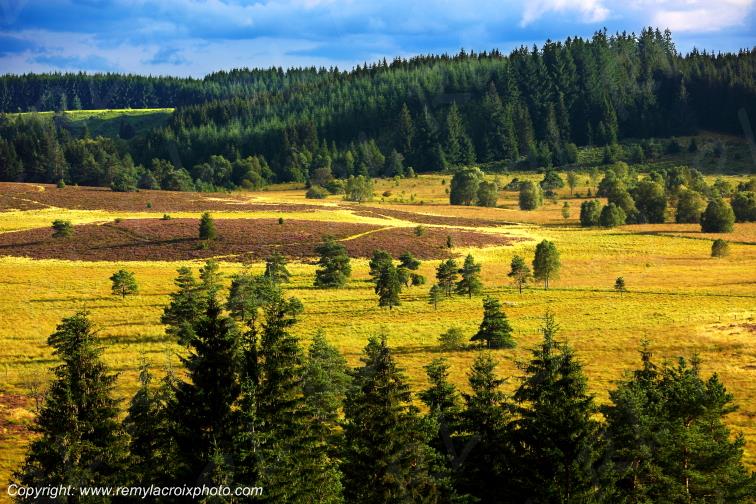 Tourbi�re du Long�roux plateau de Millevaches Corr�ze Limousin France