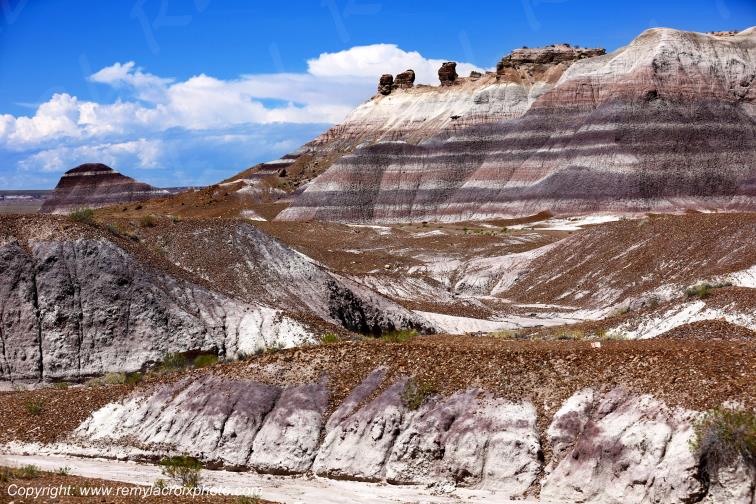 Blue Mesa Petrified Forest National Park Arizona USA