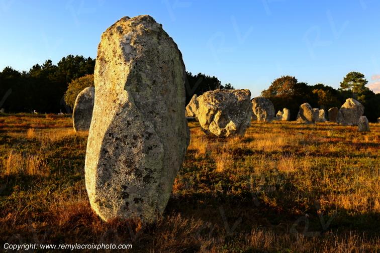 Alignements de Kermario Carnac Morbihan Bretagne France