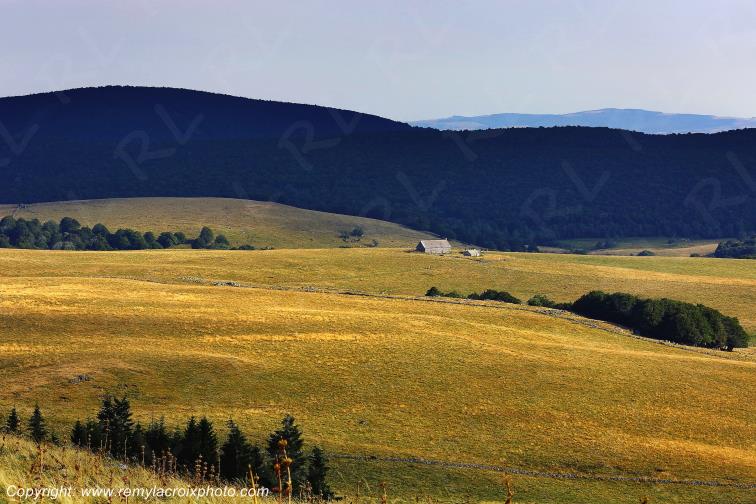 Aubrac Aveyron Occitanie France www.remylacroixphoto.com