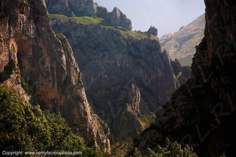 Picos de Europa Ortiguero Asturies Espagne Spain Espana