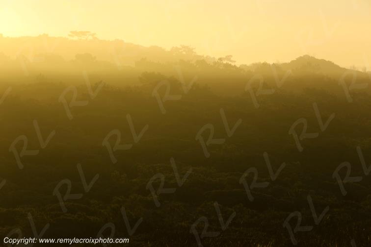 Plage du Vieux Phare C�te Sauvage Charente-Maritime France