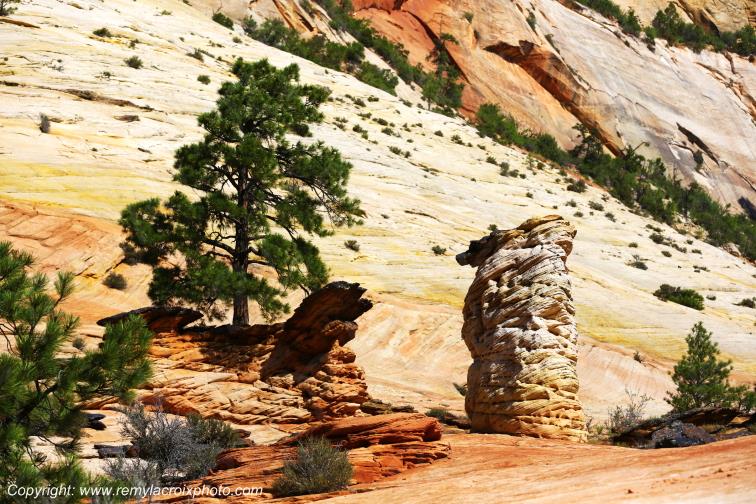 Mount Carmel Highway Zion National Park Utah USA
