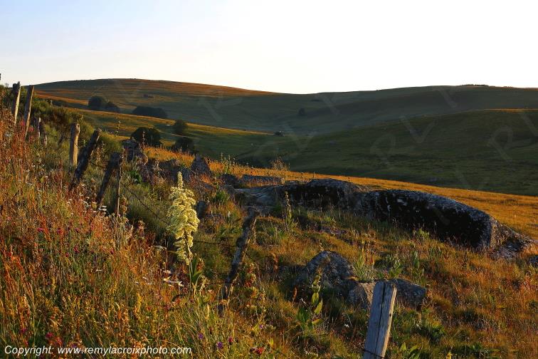 Col de Bonnecombe Aubrac Loz�re Languedoc-Roussillon Occitanie France www.remylacroixphoto.com
