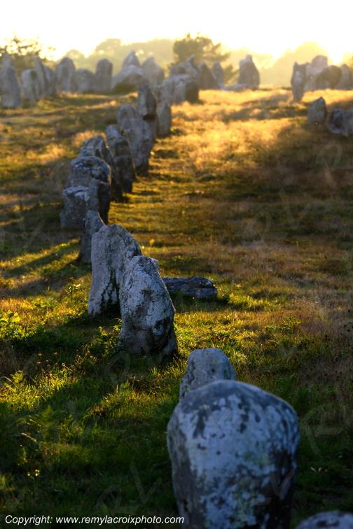 Alignements de Kermario Carnac Morbihan Bretagne France