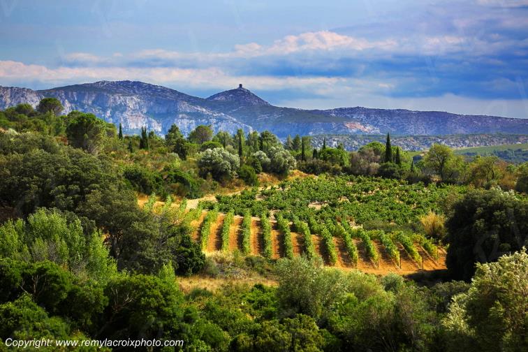 La Tour del Far vignoble du Haut Fitou Corbi�res Aude France