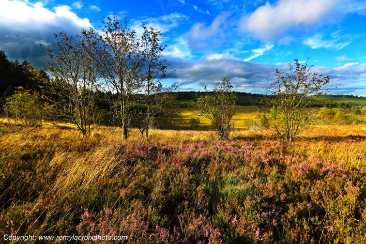 Tourbi�re du Long�roux plateau de Millevaches Corr�ze Limousin France