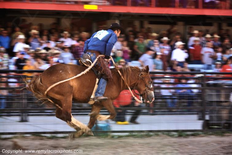 Rodeo Cheyenne Frontier Days Wild Horses Race Wyoming USA www.remylacroixphoto.com