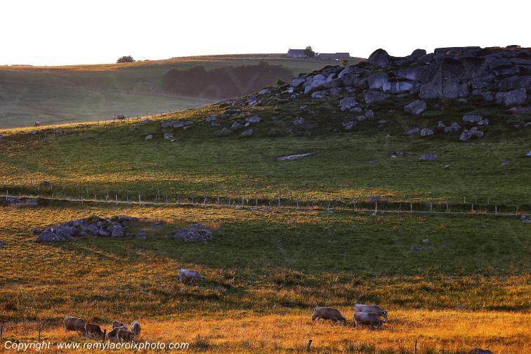 Col de Bonnecombe Aubrac Loz�re Languedoc-Roussillon Occitanie France www.remylacroixphoto.com