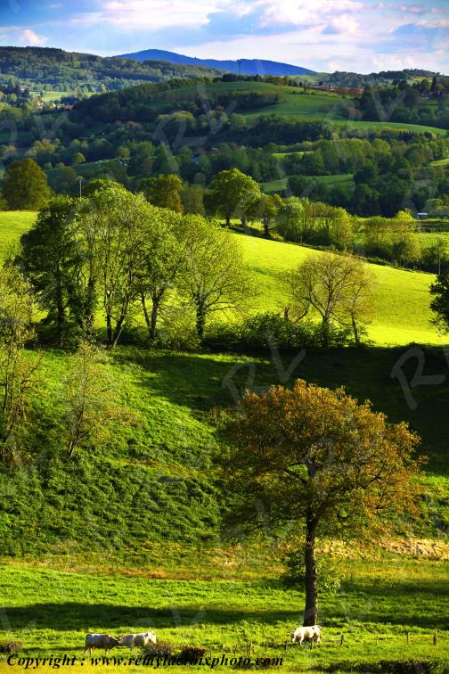 Ch�tel Montagne Montagne Bourbonnaise Allier Auvergne France