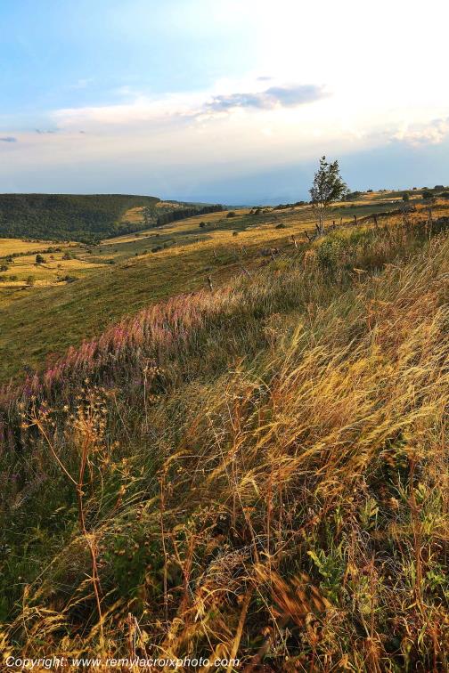 Aubrac Aveyron Occitanie France www.remylacroixphoto.com
