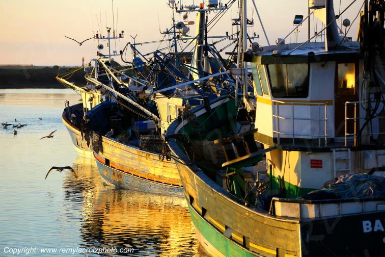 Port de St Gu�nol� Finist�re Bretagne France