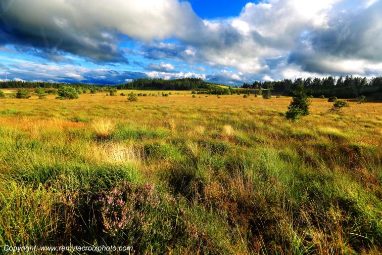 Tourbi�re du Long�roux plateau de Millevaches Corr�ze Limousin France