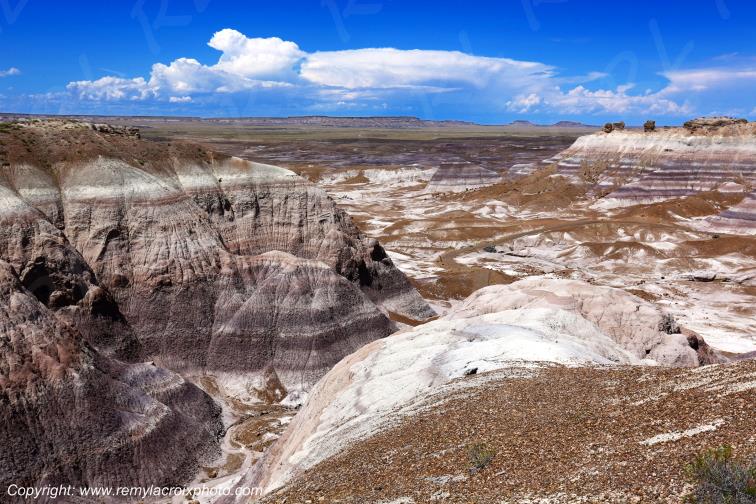 Blue Mesa Petrified Forest National Park Arizona USA