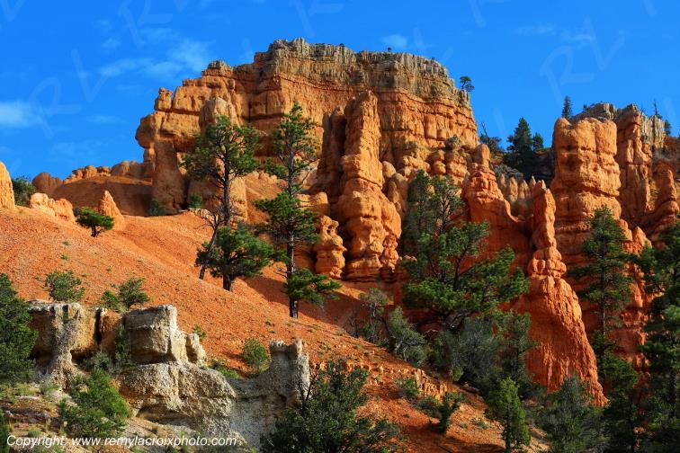 Red Canyon Utah USA www.remylacroixphoto.com