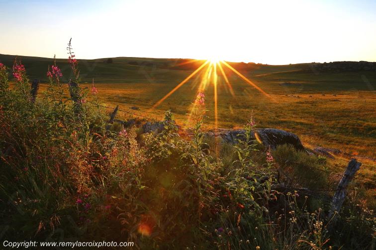 Col de Bonnecombe Aubrac Loz�re Languedoc-Roussillon Occitanie France www.remylacroixphoto.com