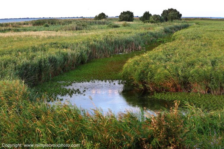 Razim Lake Delta Danube River Romania Roumanie www.remylacroixphoto.com