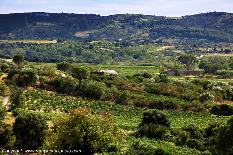 Vignoble du Haut Fitou Corbi�res Aude France
