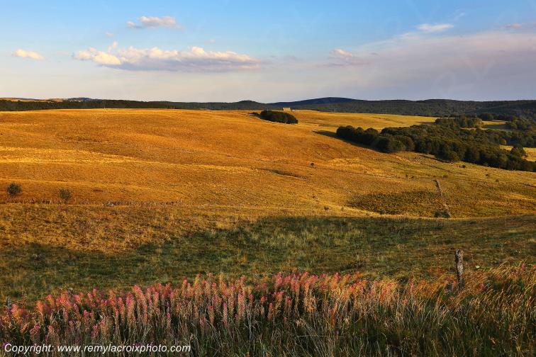 Aubrac Aveyron Occitanie France www.remylacroixphoto.com