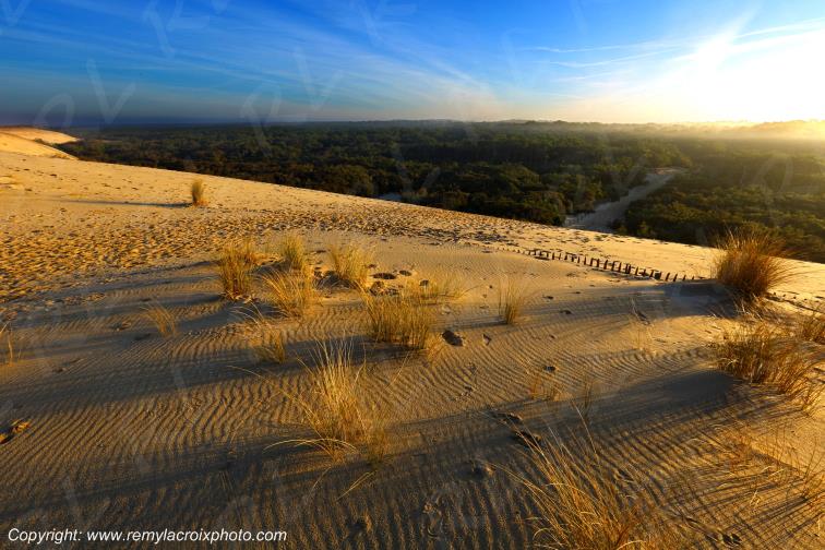 Dune de La Coubre C�te Sauvage Charente-Maritime France