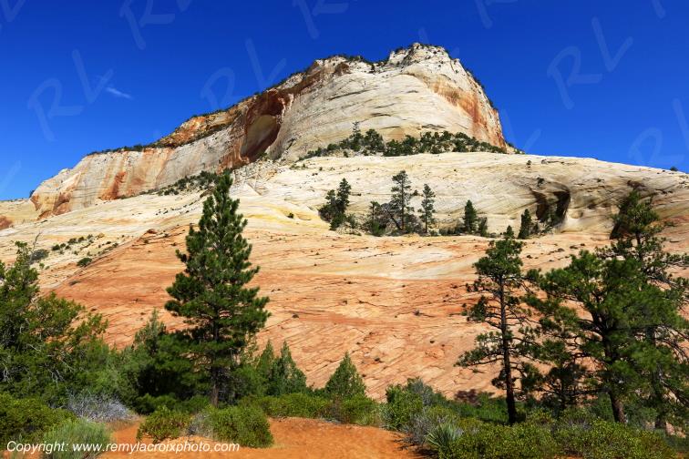 Mount Carmel Highway Zion National Park Utah USA