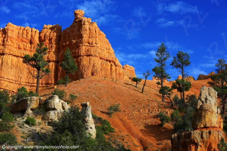 Red Canyon Utah USA www.remylacroixphoto.com