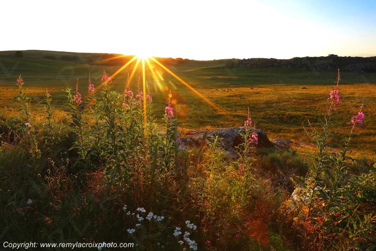 Col de Bonnecombe Aubrac Loz�re Languedoc-Roussillon Occitanie France www.remylacroixphoto.com