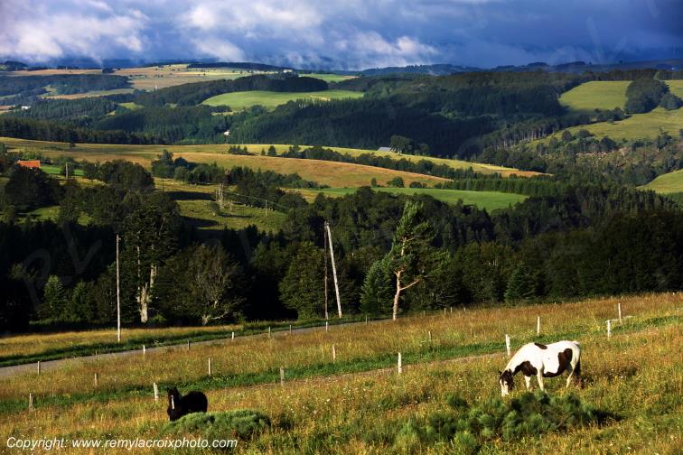 Mont Gerbier de Jonc Ard�che Rh�ne Alpes France