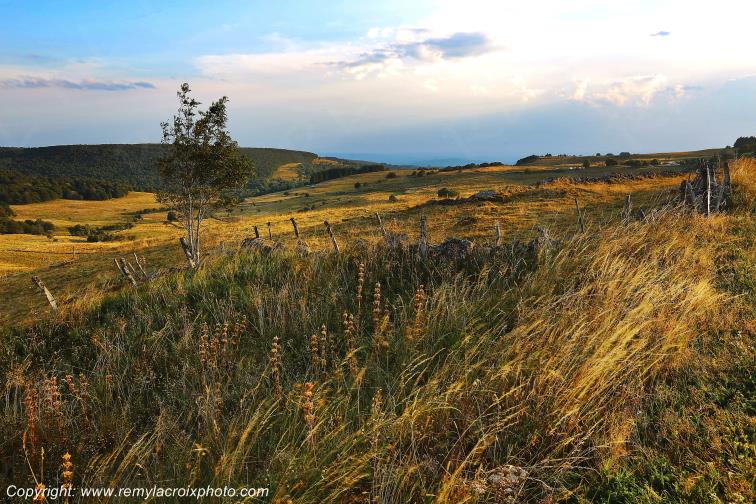 Aubrac Aveyron Occitanie France www.remylacroixphoto.com
