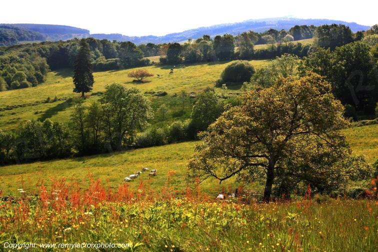 Glozel Montagne Bourbonnaise Allier Auvergne France