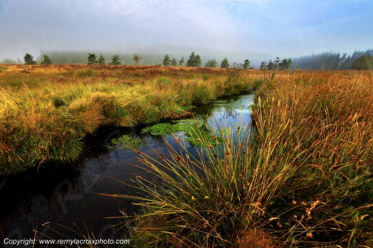 Tourbi�re du Long�roux plateau de Millevaches Corr�ze Limousin France