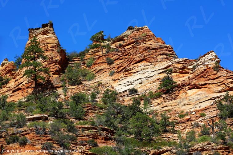 Mount Carmel Highway Zion National Park Utah USA