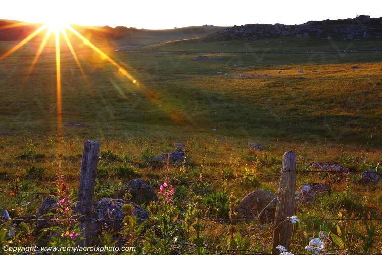 Col de Bonnecombe Aubrac Loz�re Languedoc-Roussillon Occitanie France www.remylacroixphoto.com