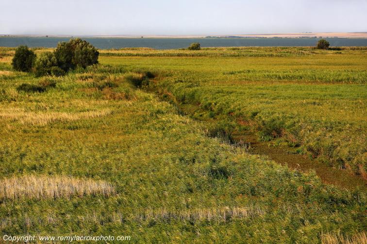 Razim Lake Delta Danube River Romania Roumanie www.remylacroixphoto.com