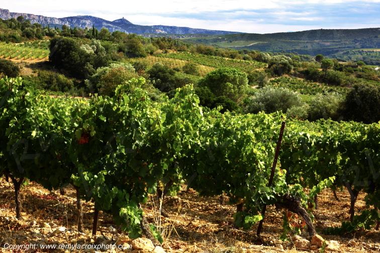 La Tour del Far vignoble du Haut Fitou Corbi�res Aude France