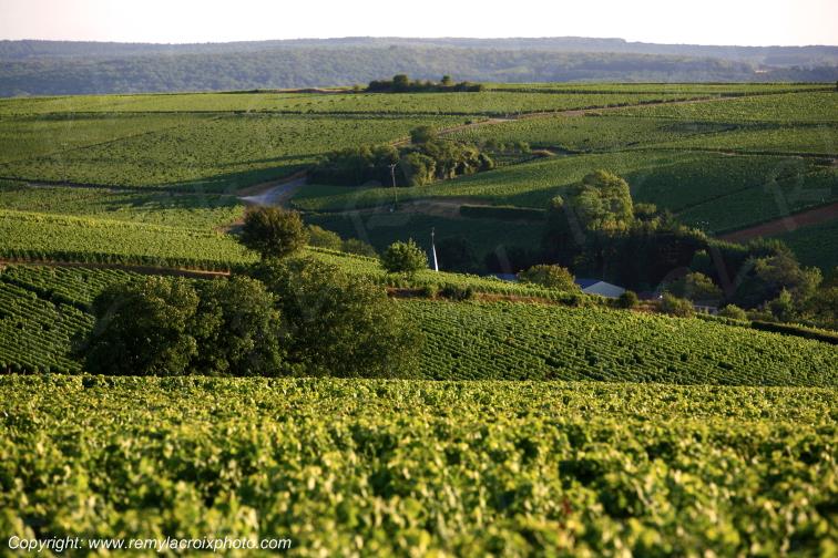 Bu� vignoble Sancerrois Cher Berry Centre Val de Loire France